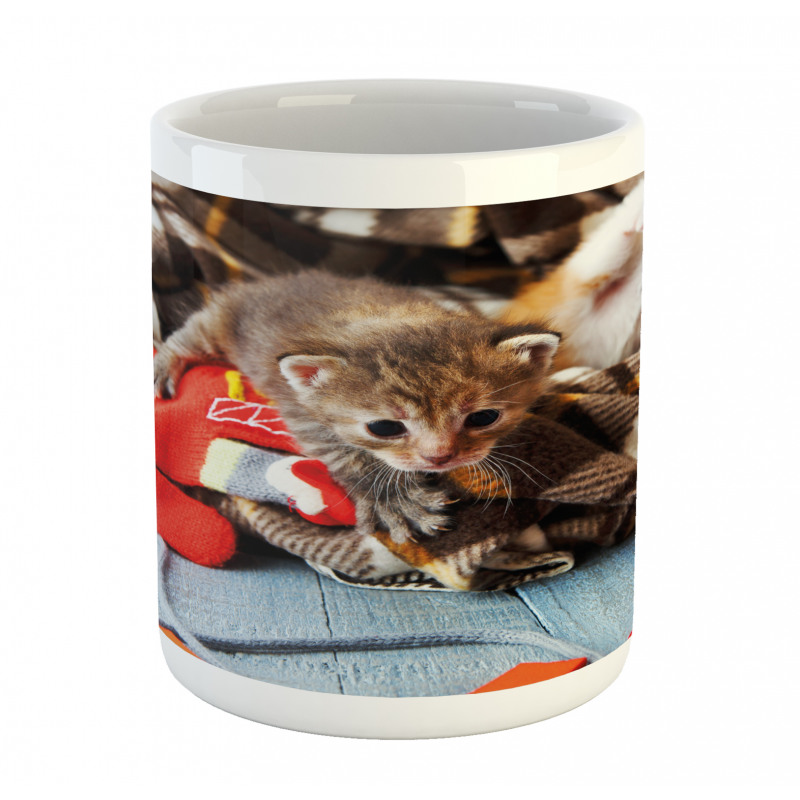 Kittens Mittens Baby Toys Mug