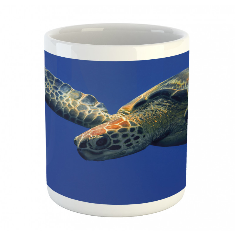 Sea Animal Swimming Mug