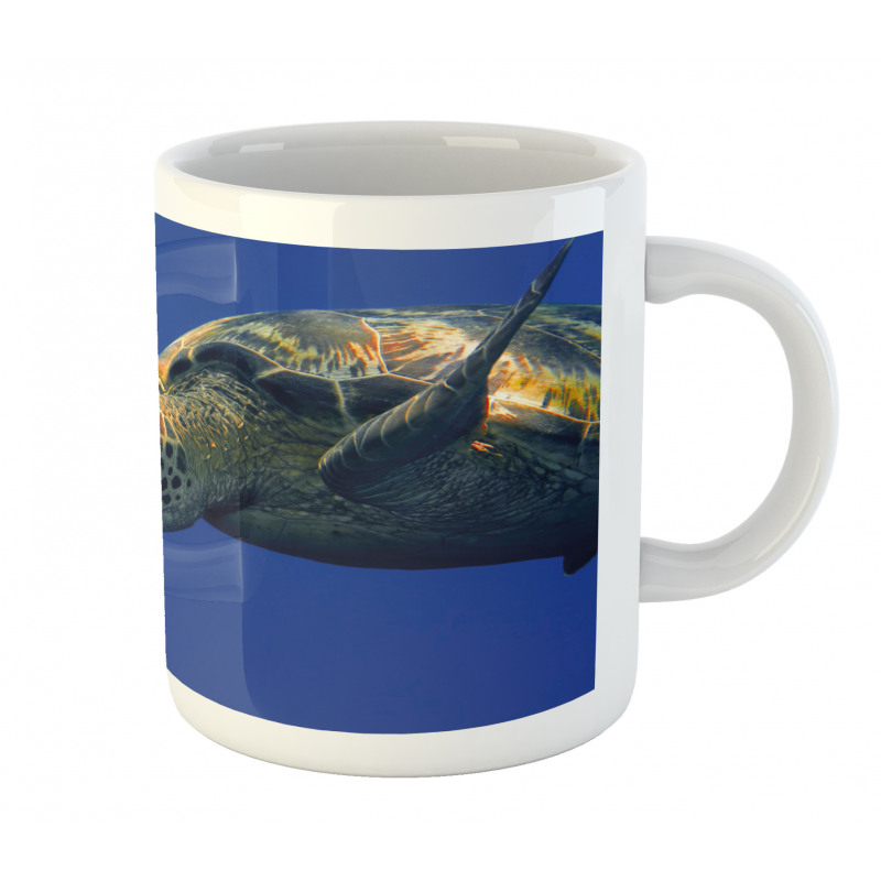 Sea Animal Swimming Mug