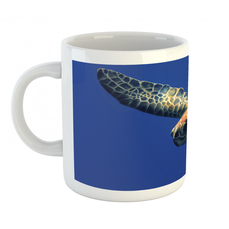 Sea Animal Swimming Mug