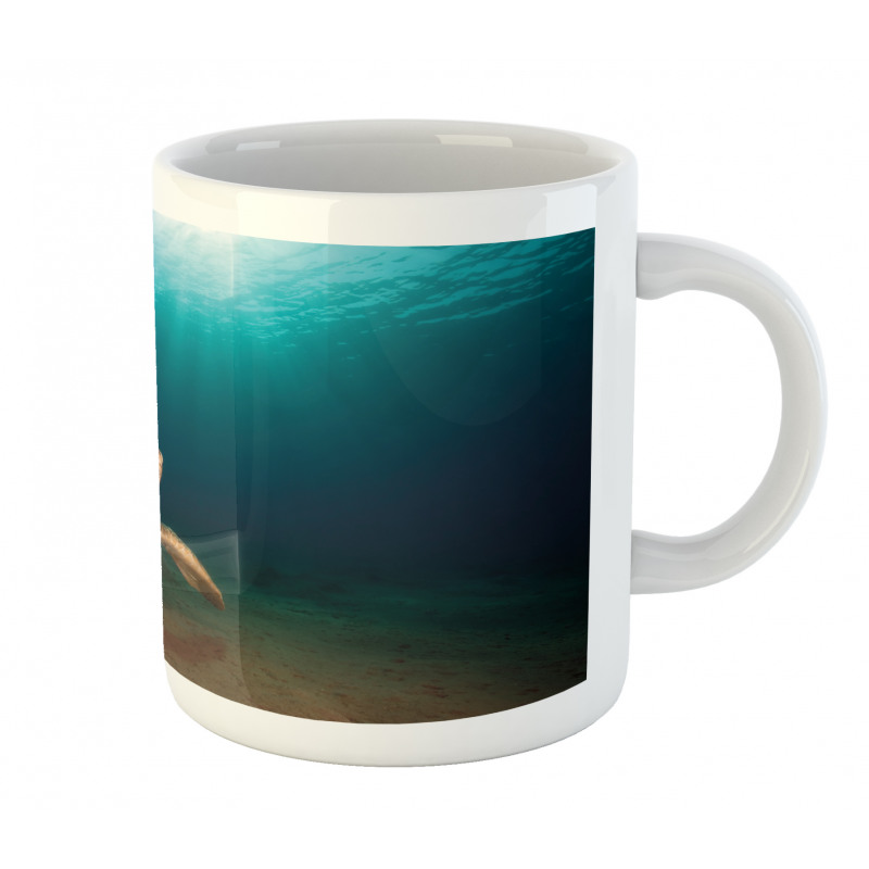 Green Turtle Sunbeam Mug