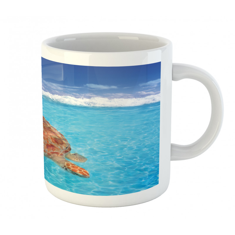 Chelonia Water Surface Mug