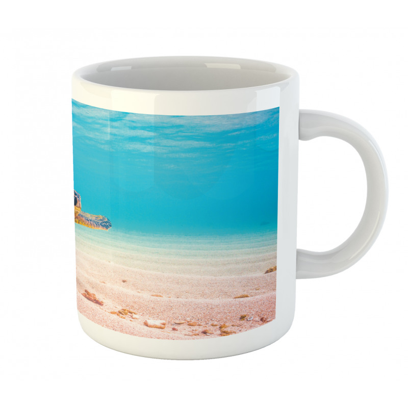 Sea Turtle Underwater Mug