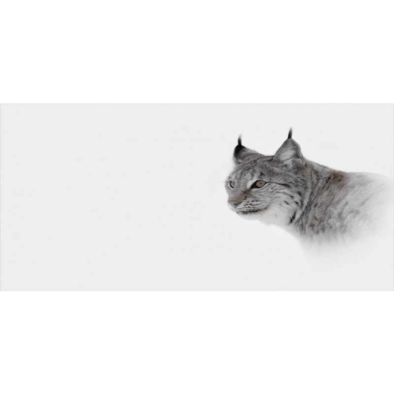 Wild Lynx Norway Mug