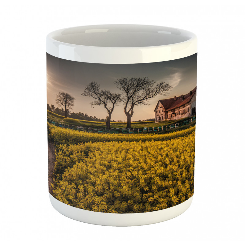 Old Rural House Mug