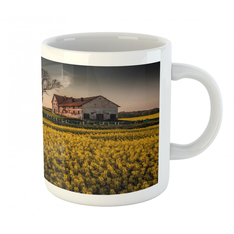 Old Rural House Mug