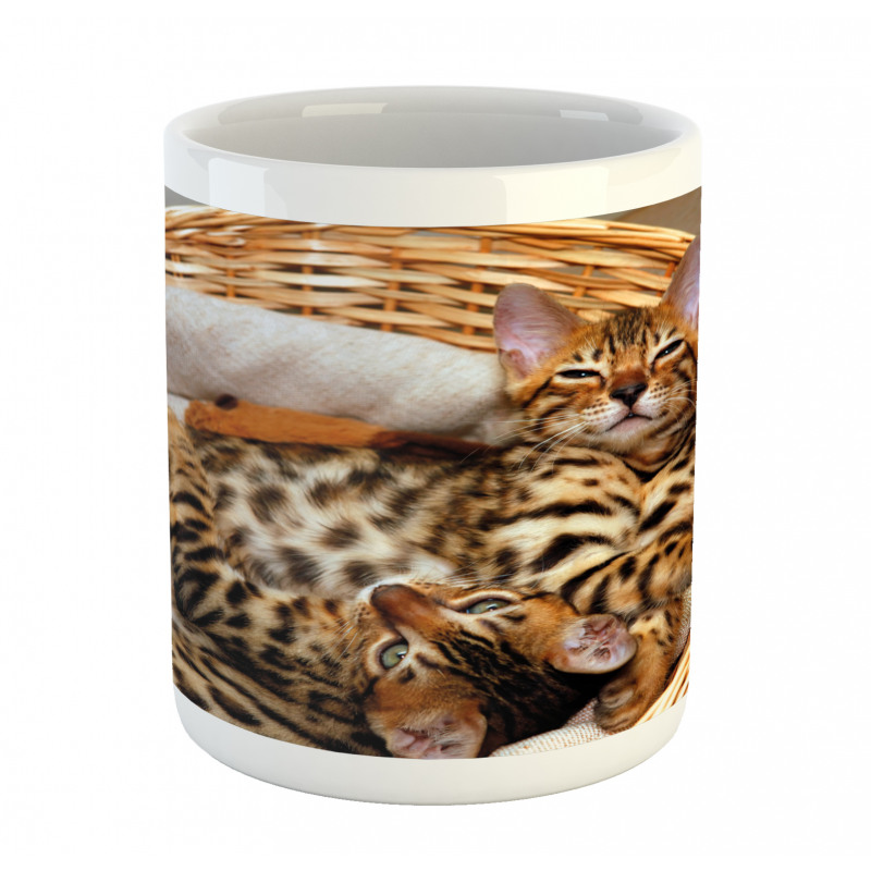 Bengal Cats in Basket Mug