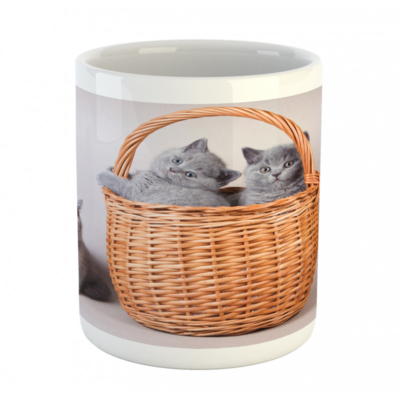 British Cats in Basket Mug