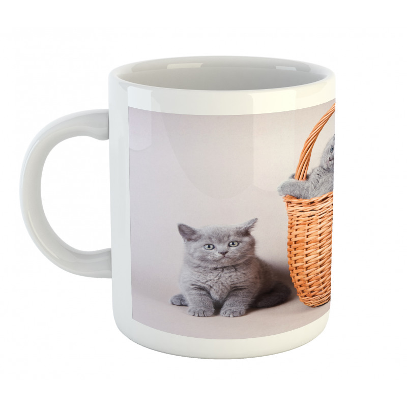 British Cats in Basket Mug