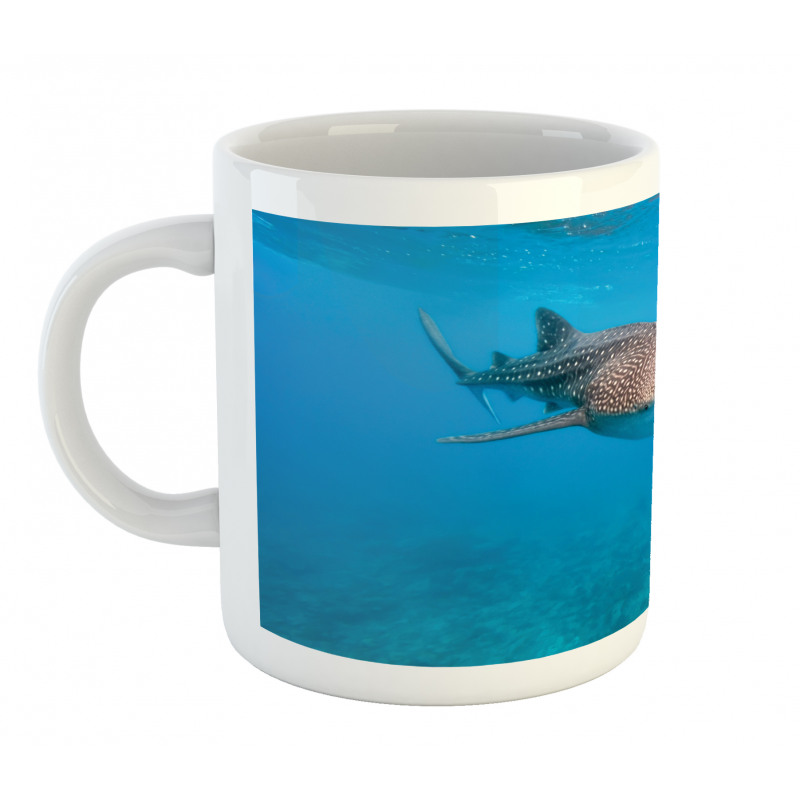 Giant Fish Ocean Diving Mug