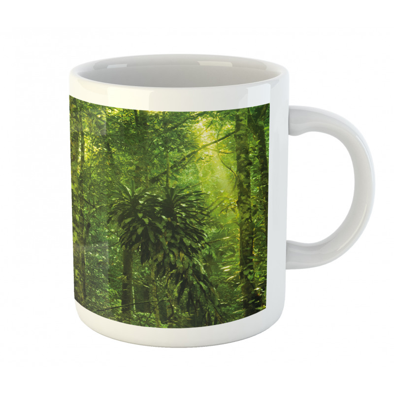 Tranquil Exotic Place Mug