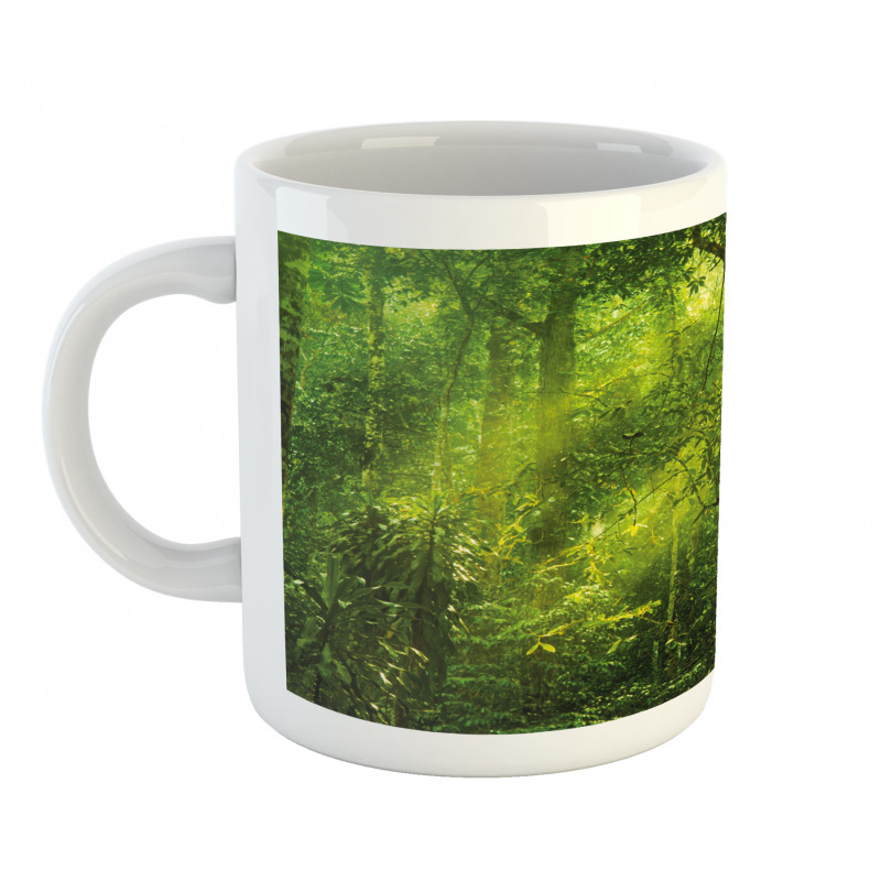 Tranquil Exotic Place Mug