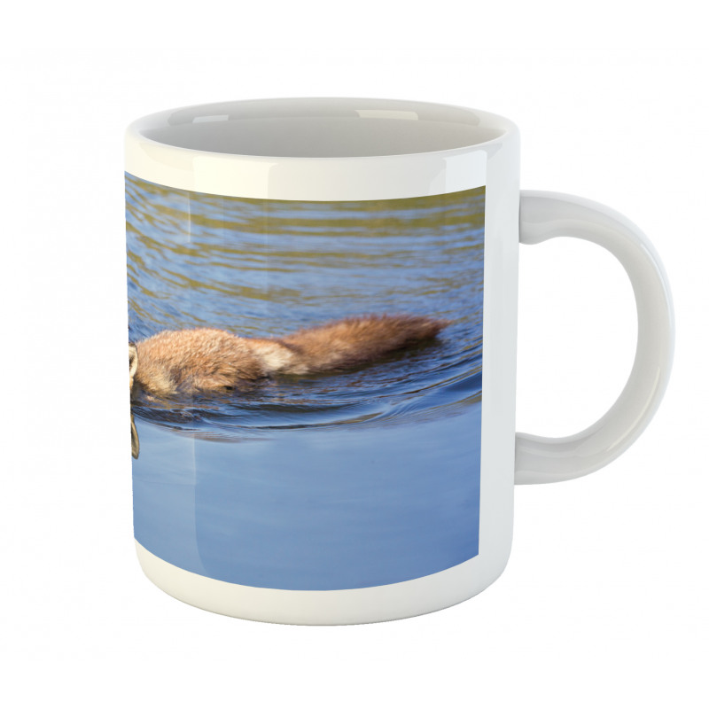 Fox Swimming in River Mug
