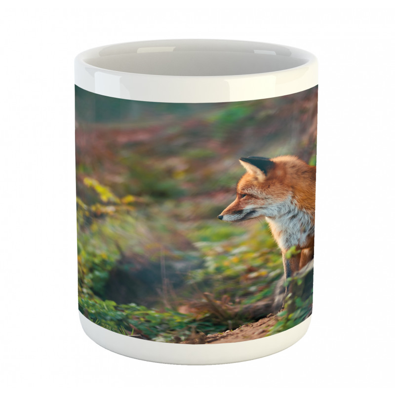 Young Wild Fox in Woodland Mug