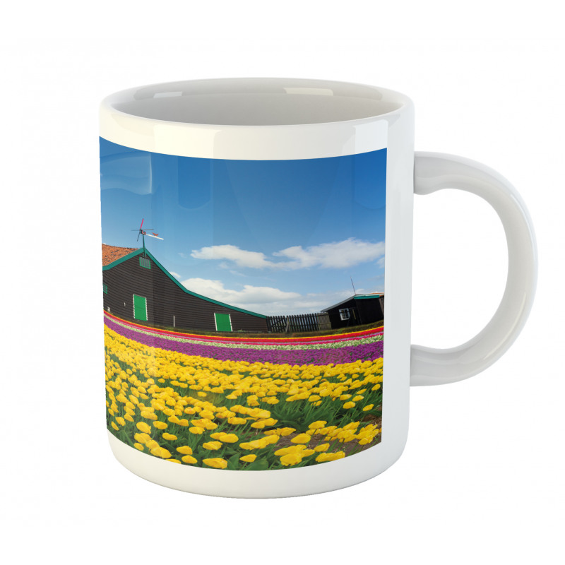 Dutch Tulips Country Mug
