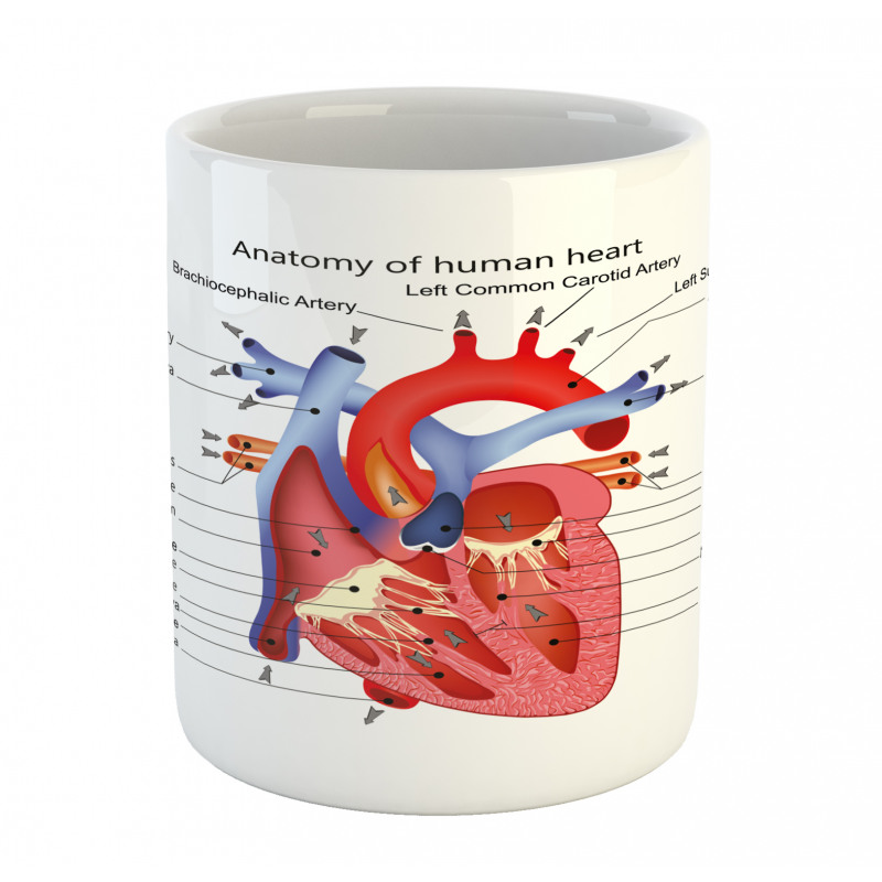 Human Body Organ Mug