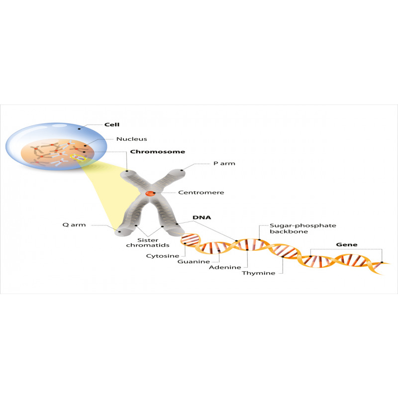 DNA Gene Genome Mug