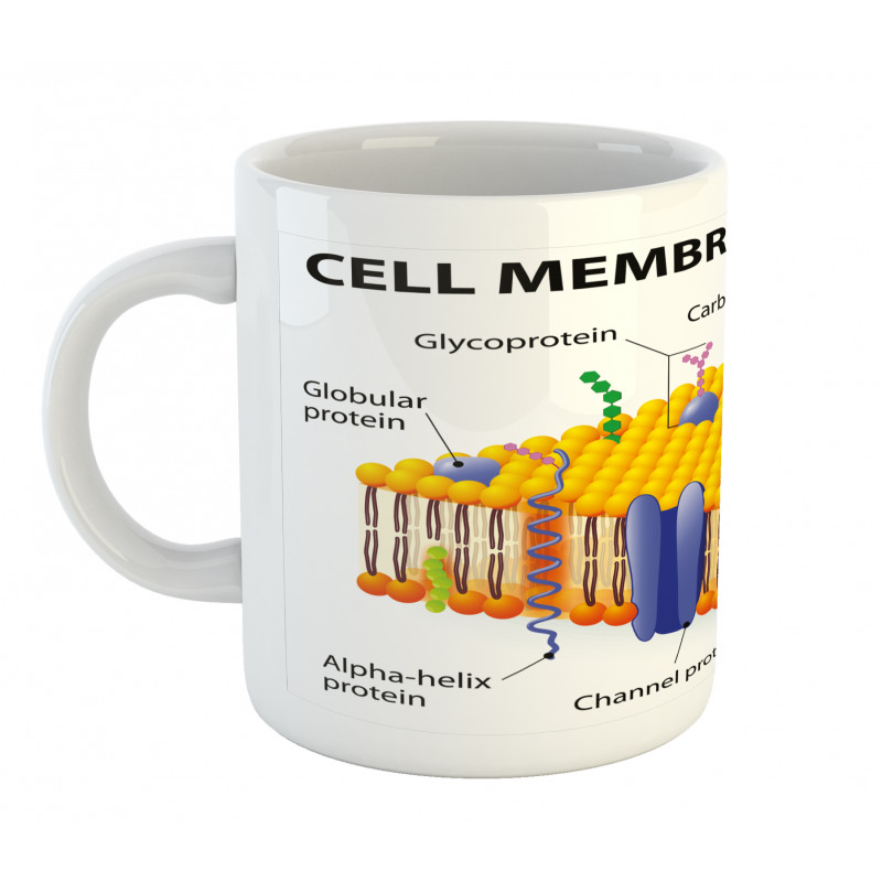 Membrane Cell Types Mug