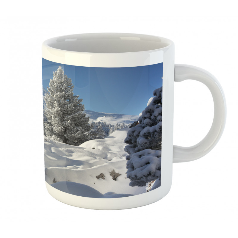 Winter Season in North Mug