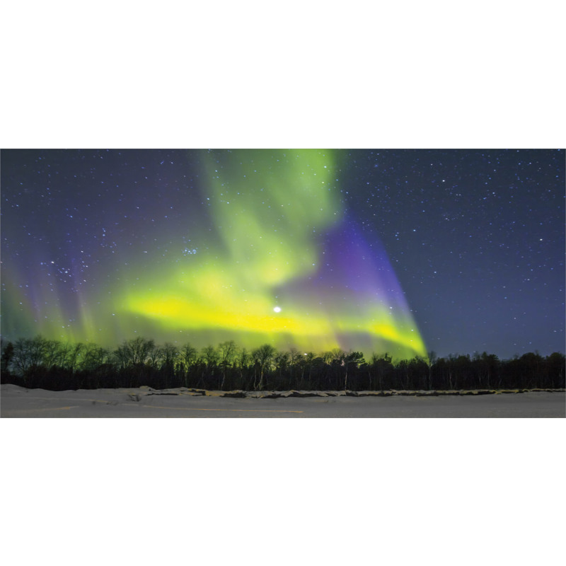 Aurora Borealis Forest Mug