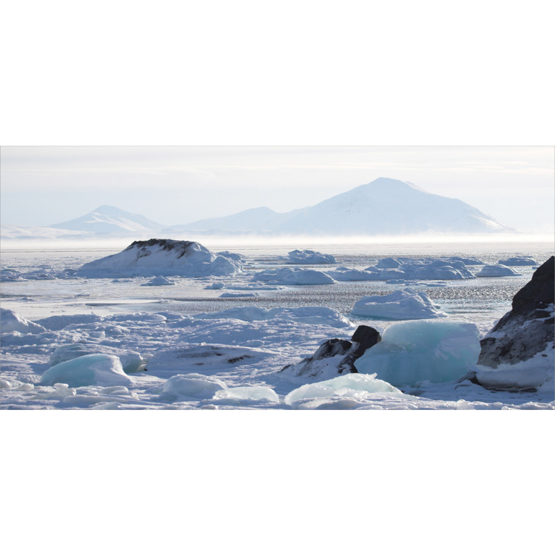 Arctic Winter Ice Lake Mug