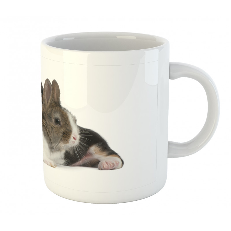 Rabbit Puppy Pet Friends Mug