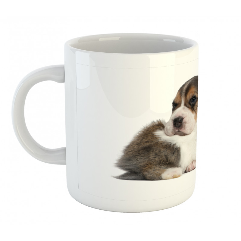 Rabbit Puppy Pet Friends Mug