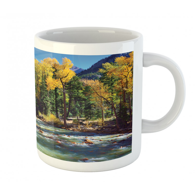 Mountains of Colorado Mug