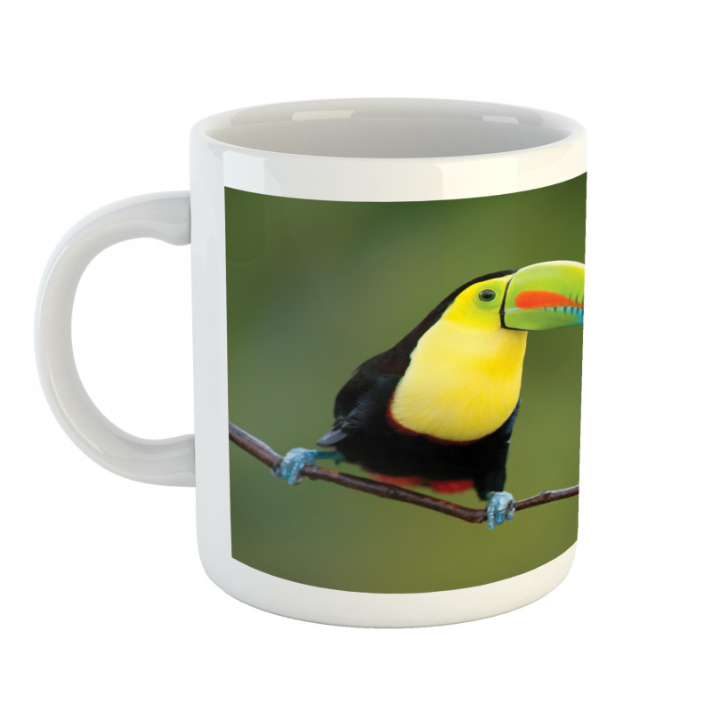 Keel Billed Toucan Mug