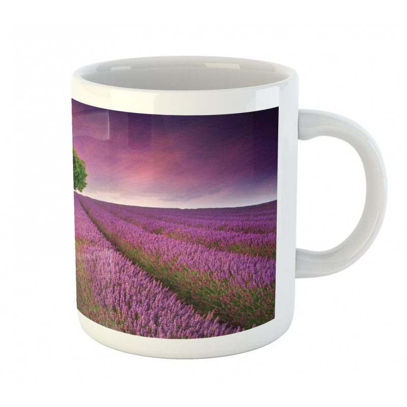 Lavender Fields and Tree Mug