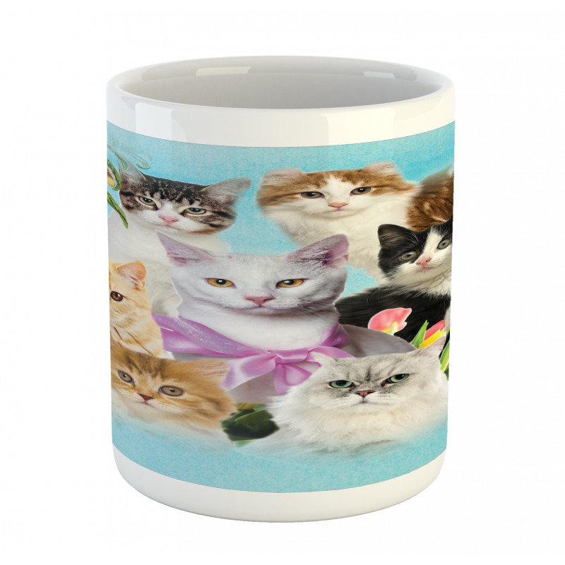 Cats Feline Domestic Mug