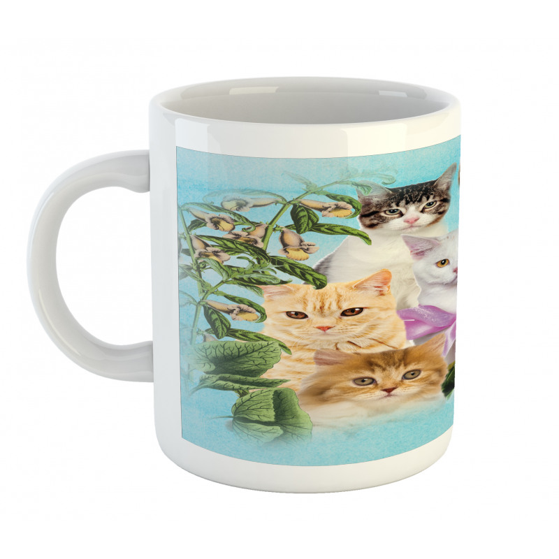 Cats Feline Domestic Mug