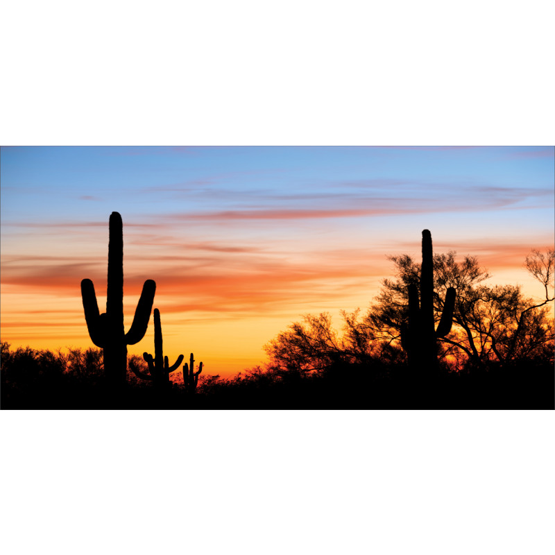 Desert Cactus Wild West Mug