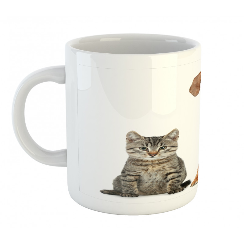 Cat Dog Animal Friends Mug