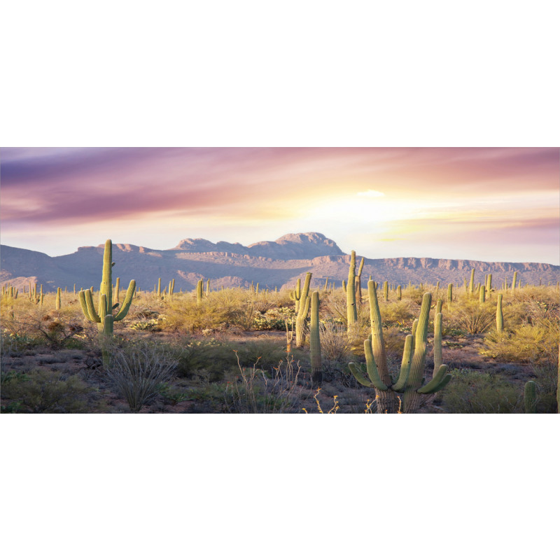 Saguaro Cactus and Mountain Mug