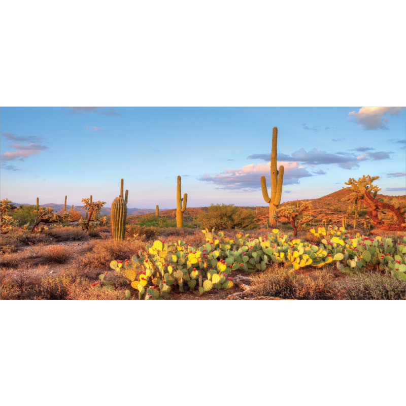 Cacti in Sonoran Desert Mug