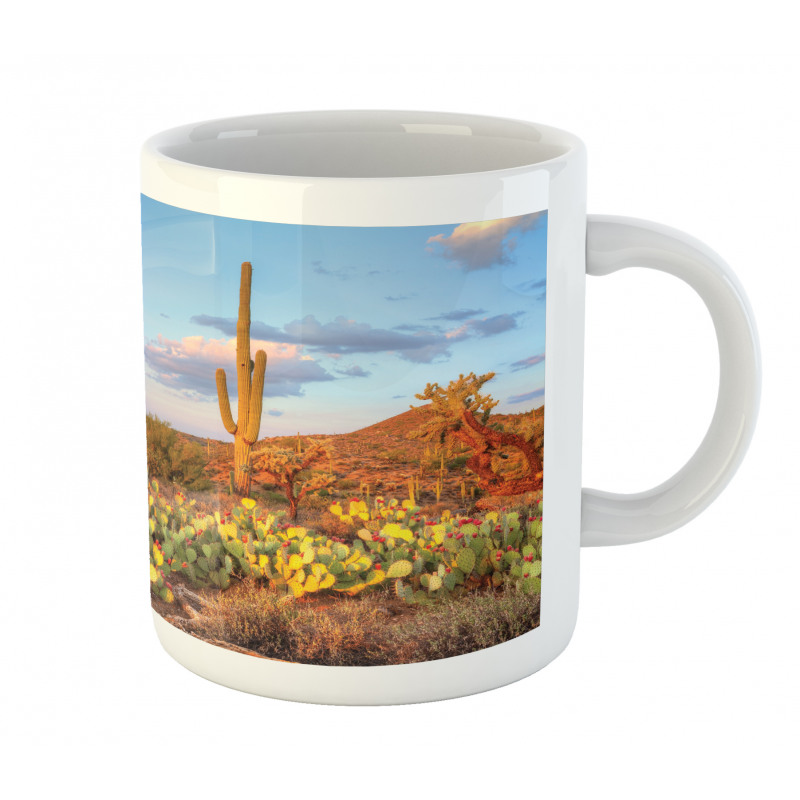 Cacti in Sonoran Desert Mug