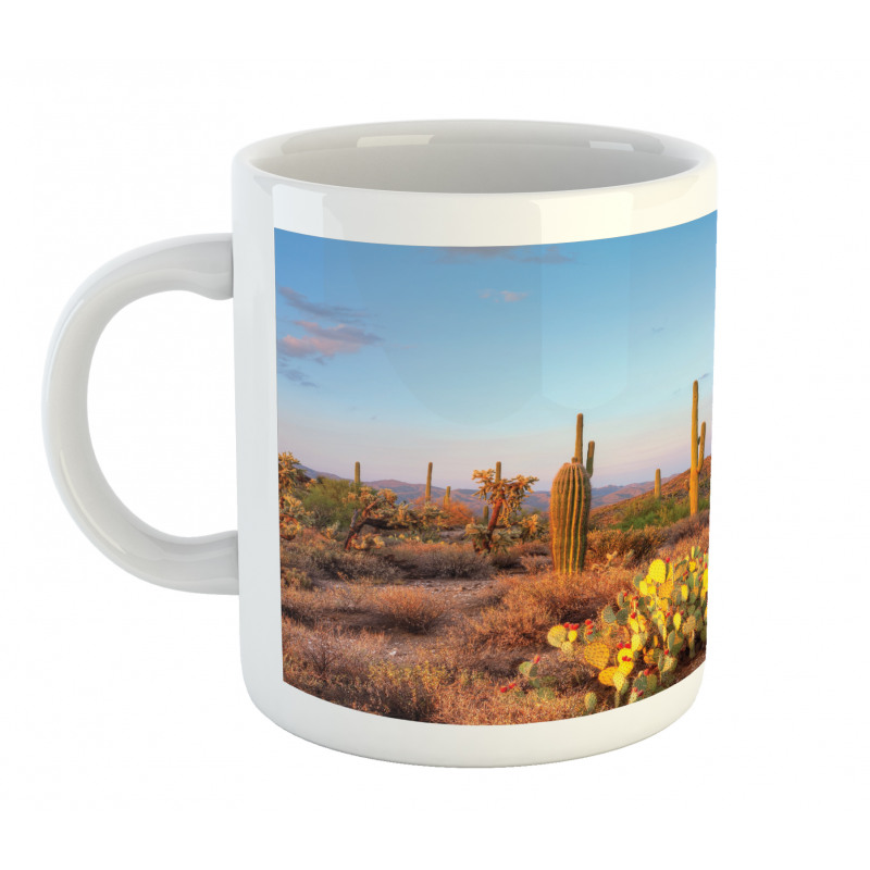 Cacti in Sonoran Desert Mug