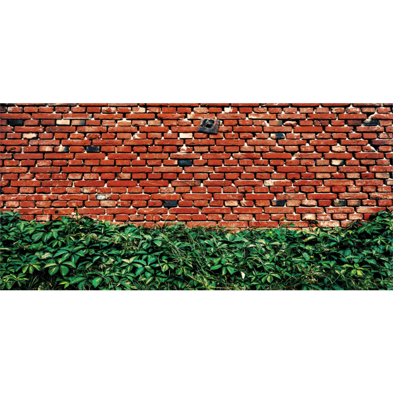 Wall with Green Leaves Mug