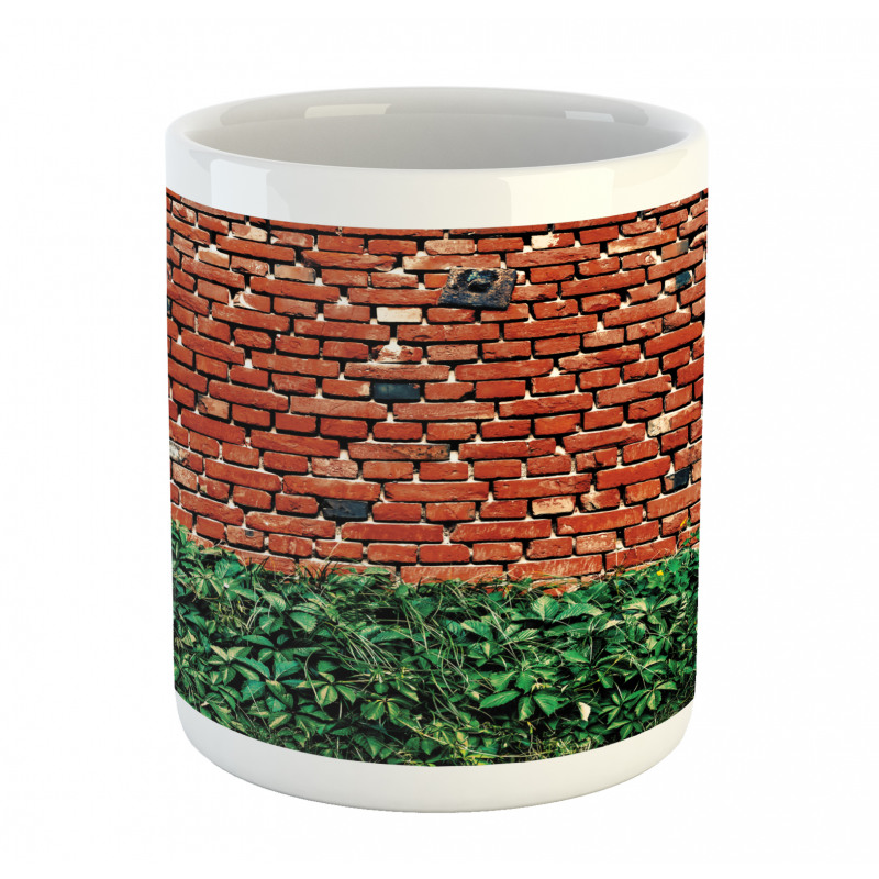 Wall with Green Leaves Mug