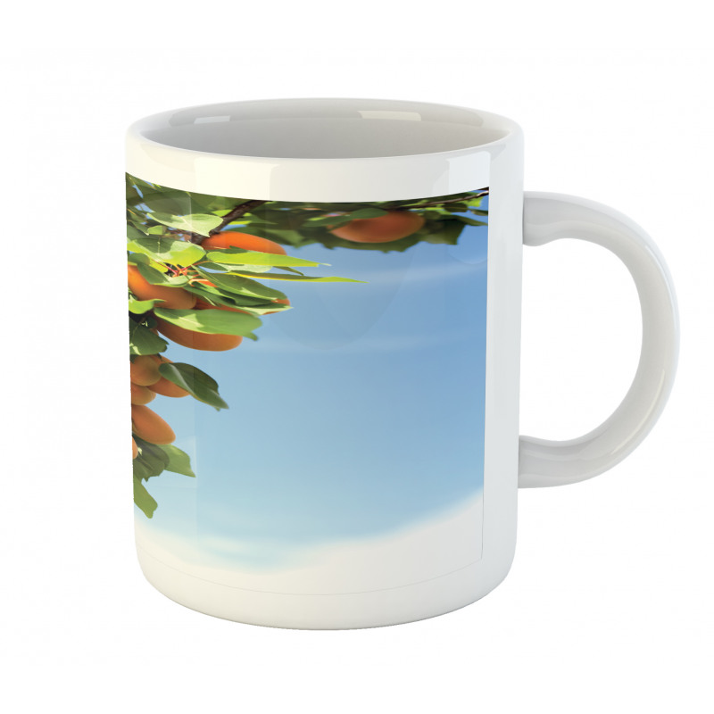 Succulent Apricots on Tree Mug