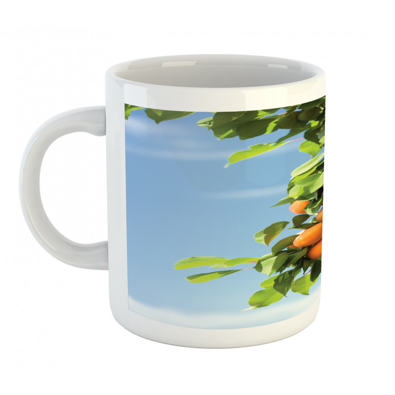 Succulent Apricots on Tree Mug