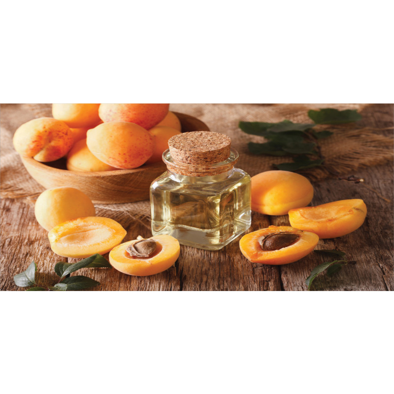 Fresh Apricots and Oil Jar Mug