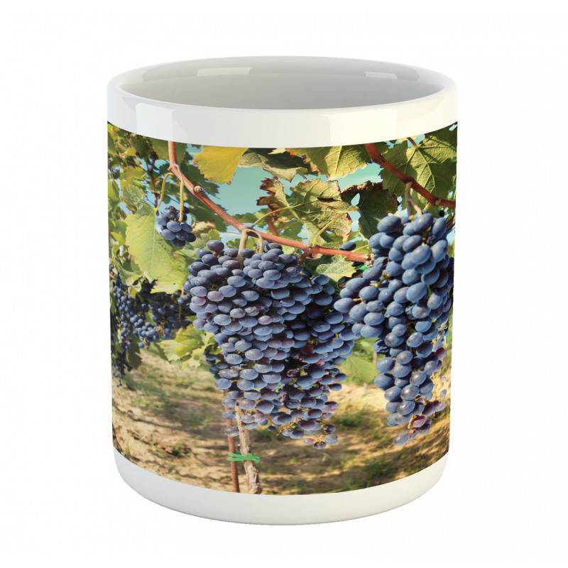 Rows of Wine Fruits in Italy Mug