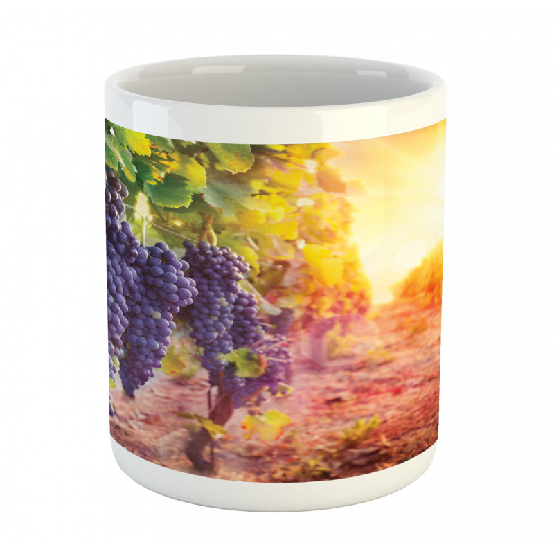 Grape in Countryside Vineyard Mug