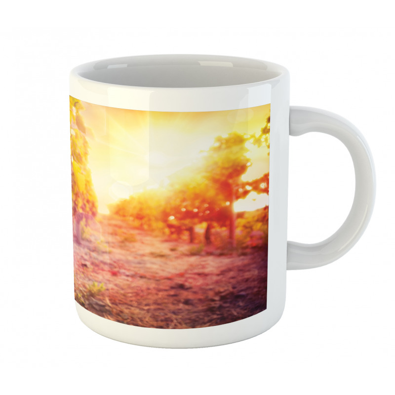 Grape in Countryside Vineyard Mug