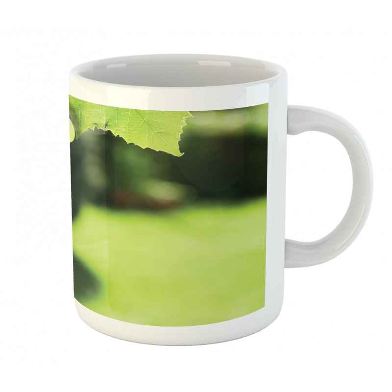 Bunch of Fruits Hanging Photo Mug