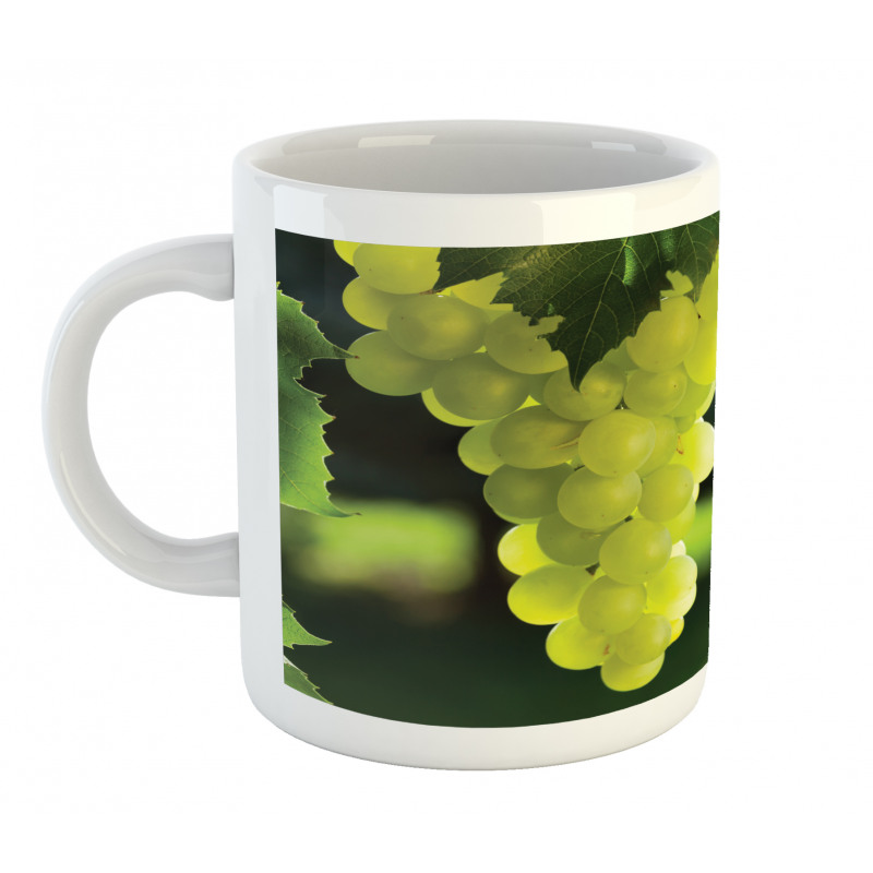 Bunch of Fruits Hanging Photo Mug