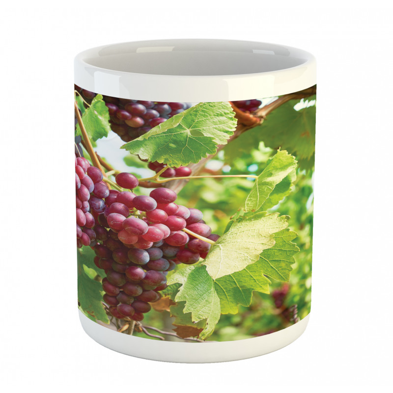 Bunch of Wine Fruits Foliage Mug