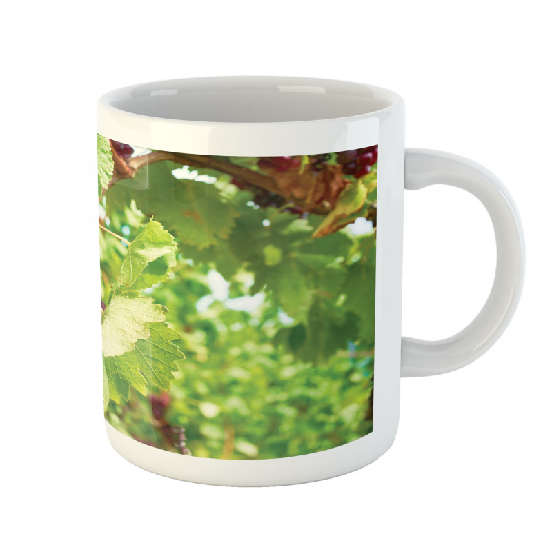 Bunch of Wine Fruits Foliage Mug